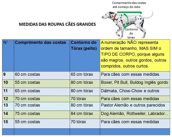 Cão pastor inglês, ano d, sentado